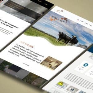 Website design with SEO for tradies as part of the tradie booster package